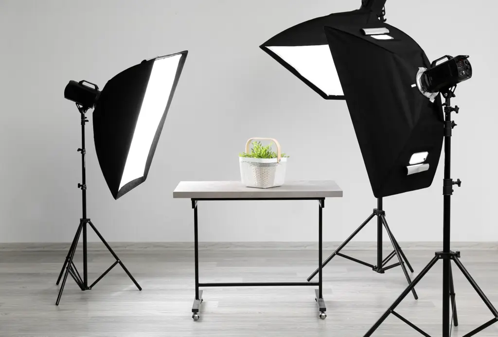A photography setup with two softbox lights and a plant on a table for product photography.