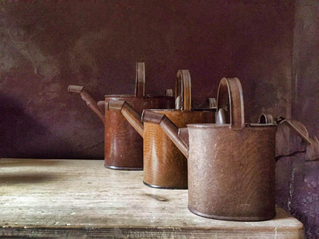 Three vintage watering cans on a wooden table with a muted purple background.