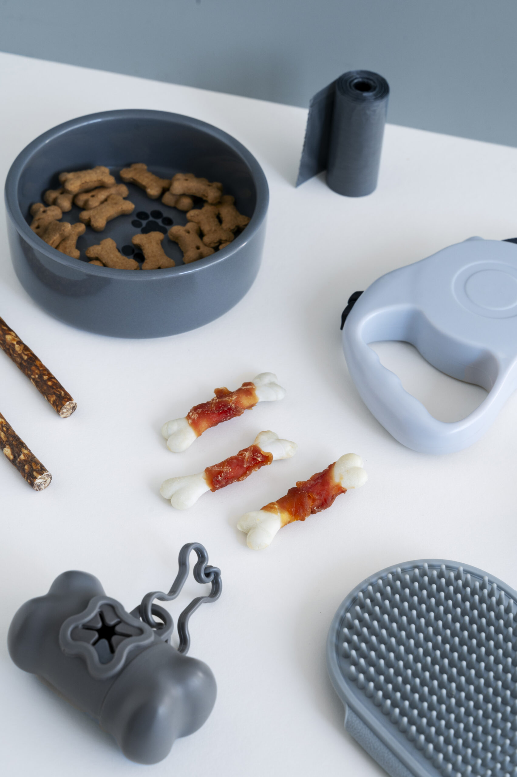 Top view of dog accessories including slow feeder bowl, leash, treats, grooming brush and waste bag holder – pet product photography