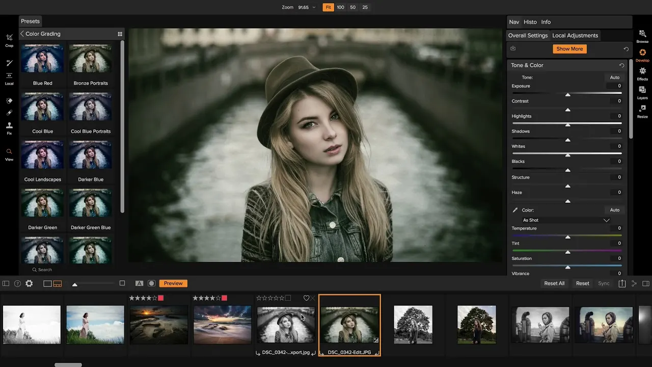 Photo editing software interface showing color grading and preset adjustments.